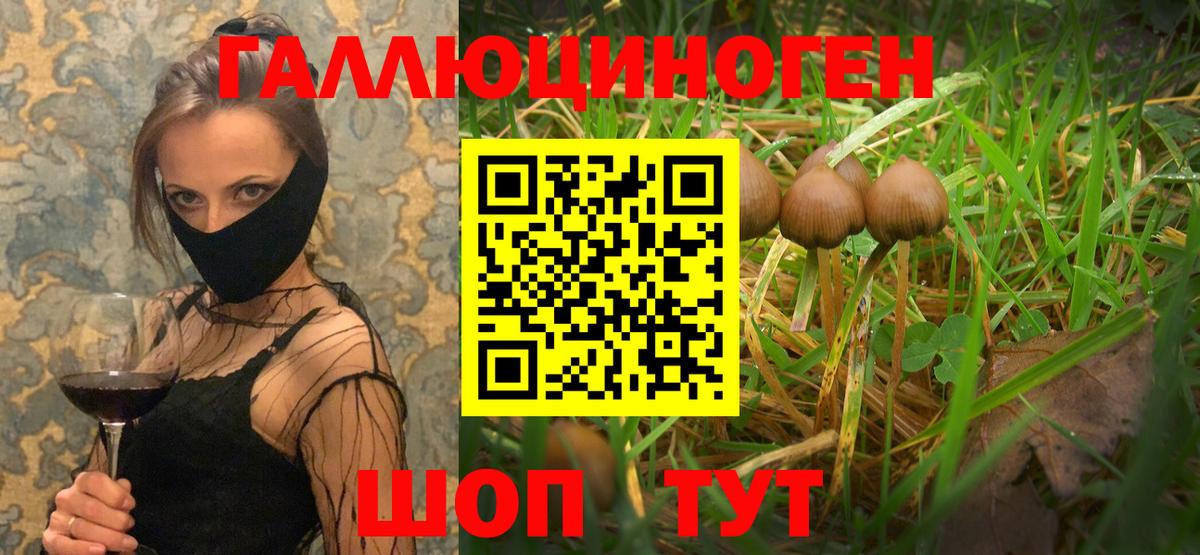 Галлюциногенные грибы Psilocybine cubensis Долгопрудный