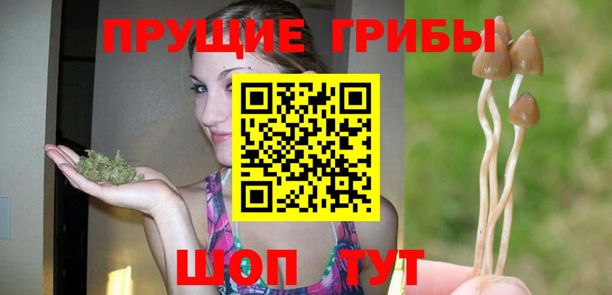 Галлюциногенные грибы MAGIC MUSHROOMS  Вход с VPN  Долгопрудный 